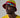 Iconic Bucket Hat